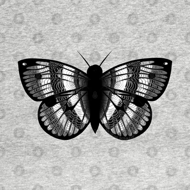 Cool Black And White Butterfly by ROLLIE MC SCROLLIE